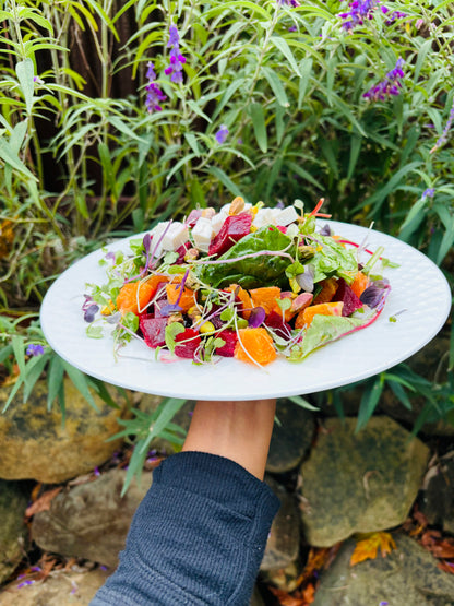 Butternut Squash Soup & Salad