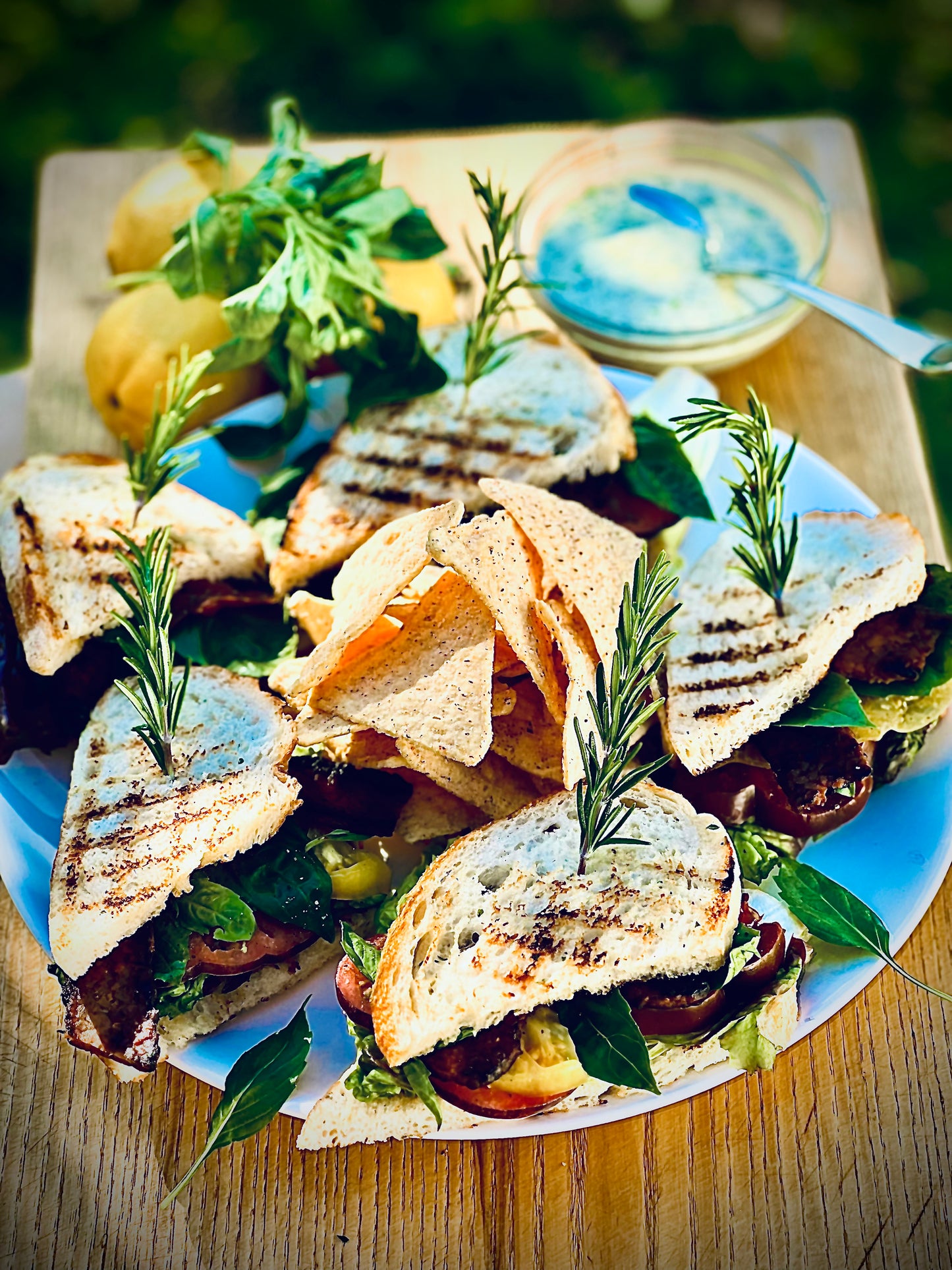 Gourmet Sandwich Platter with Ranch Chips